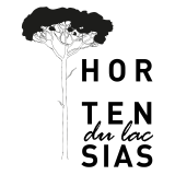 LES HORTENSIAS DU LAC