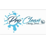 PRO CLEAN VW