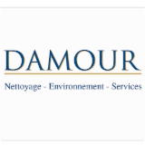 DAMOUR NETTOYAGE LYON