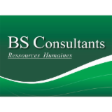 SARL BS CONSULTANTS