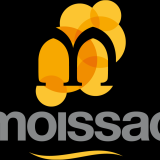 MAIRIE MOISSAC