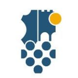 CA GAILLAC-GRAULHET