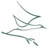 PASORI