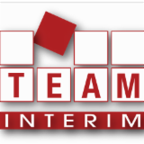 TEAM INTERIM