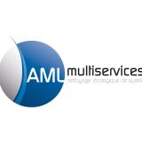 AML MULTISERVICES