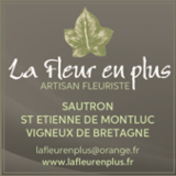 LA FLEUR EN PLUS