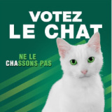 FEU VERT